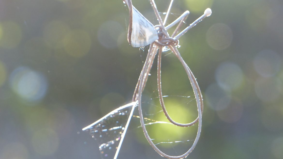 Weet jij al wat de tuintrends zijn ?