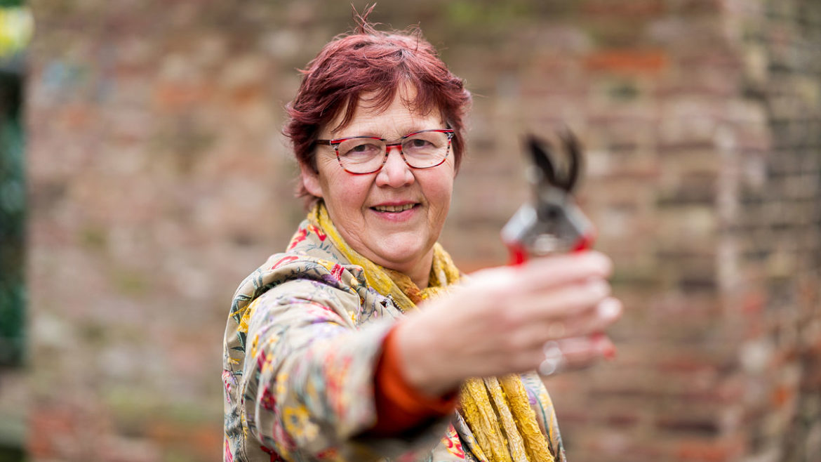 Wat kan een tuincoach voor jouw betekenen?