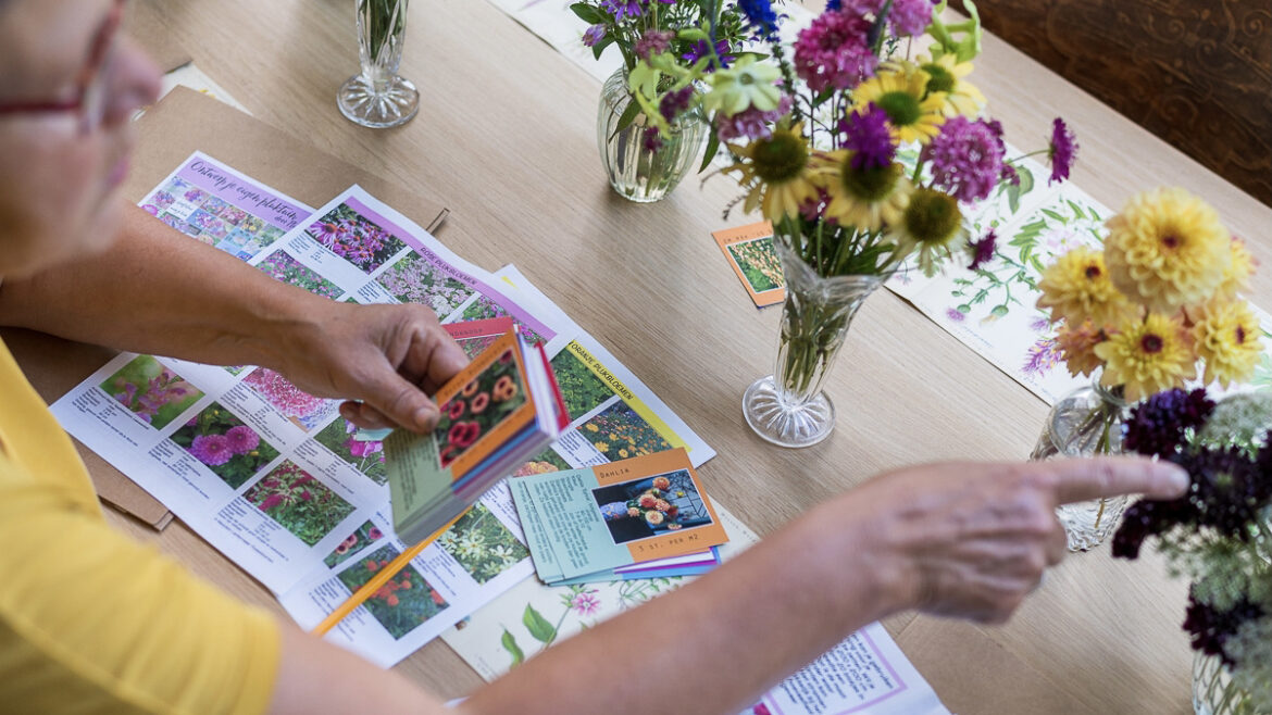 Workshop Ontwerp je eigen (pluk)border!