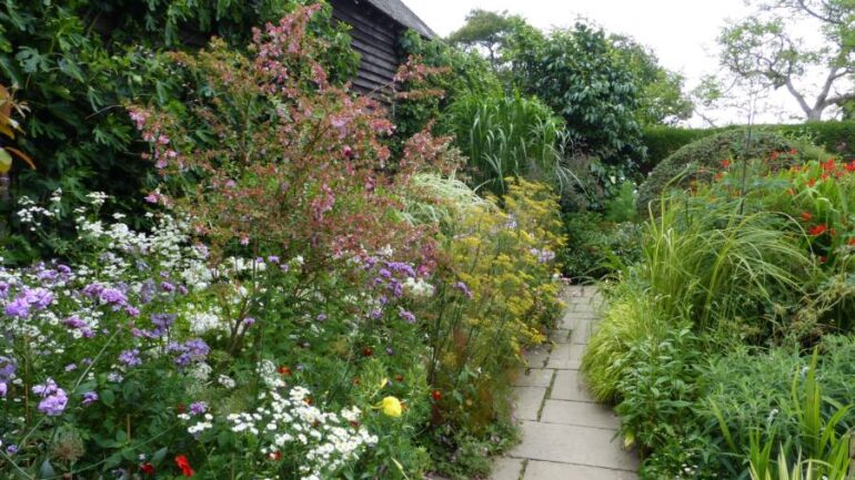 Een beplantingsplan: De sleutel tot een evenwichtige en bloeiende tuin!